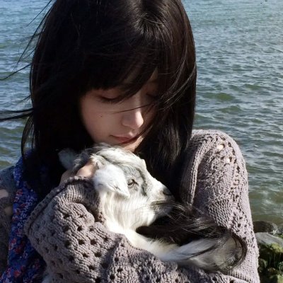 蓝百合
